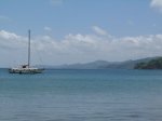 Boat Tours
