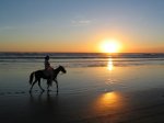Horseback Riding