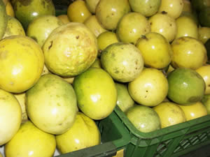 Passion fruit