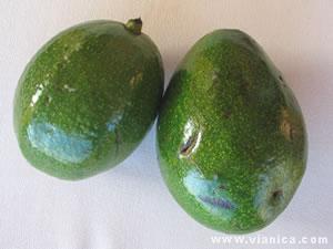 Avocado