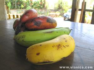Banana