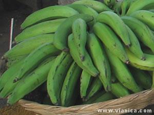 Plantain