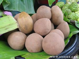 Sapodilla